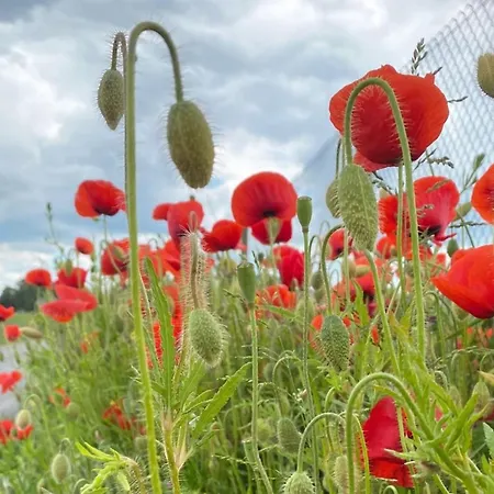 Casa de Férias Askan - 200m From The Sea By Interhome